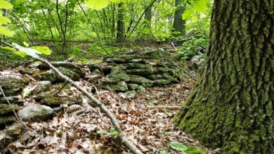 Lake Acreage Off Market in Red Hook, New York