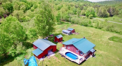 Lake Home For Sale in Hancock, New York