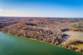 Tennessee River - Decatur County Acreage For Sale in Bath Springs Tennessee