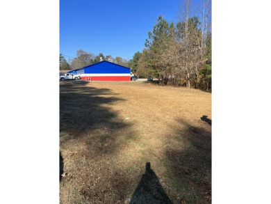 Lake Commercial For Sale in Acworth, Georgia
