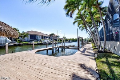 Experience luxury waterfront living at its finest in one of Cape - photo 44