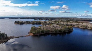 Lake Acreage For Sale in Marion, Maine