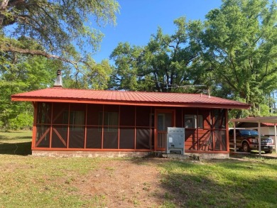 Lake Seminole Home For Sale in Donalsonville Georgia