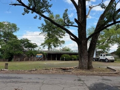 Lake Commercial For Sale in Dardanelle, Arkansas