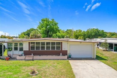 Lake Frances - Lake County Home For Sale in Tavares Florida