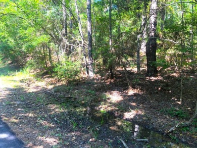 Lake Lot For Sale in Brookeland, Texas