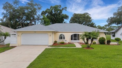Lake Tarpon Home Sale Pending in Palm Harbor Florida