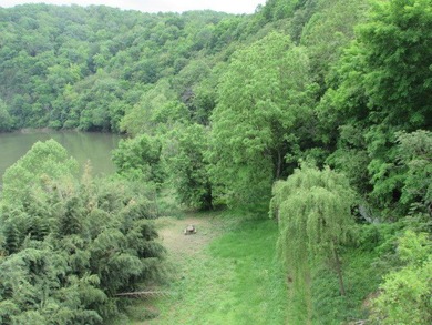 This is an opportunity for someone wanting to join the New River - photo 10