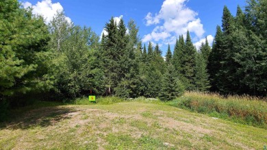 Lot 5 in Bear Ridge CIC is waiting for a new owner to build your - Lake Lot For Sale in Orr, Minnesota