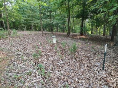 Smith Mountain Lake Lot For Sale in Goodview Virginia