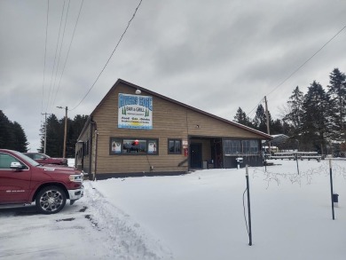 Lake Commercial For Sale in Tomahawk, Wisconsin