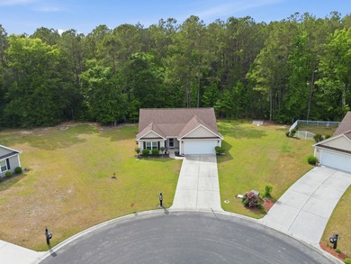 Welcome to 252 Timber Run Dr, tucked away on a quiet cul-de-sac - photo 29
