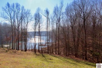 Lake Barkley Lot For Sale in Kuttawa Kentucky