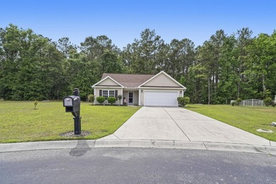 Welcome to 252 Timber Run Dr, tucked away on a quiet cul-de-sac - photo 34