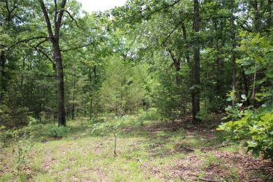 Lake Commercial For Sale in Flippin, Arkansas