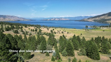 Flathead Lake Lot For Sale in Big Arm Montana
