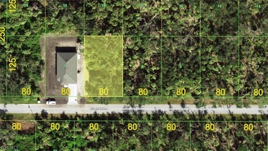 No HOA, deed restrictions or CDDs!!! Not in a zone requiring - photo 1