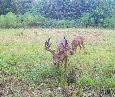 Lake Acreage For Sale in Vicksburg, Mississippi