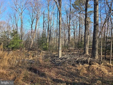 Your 2026 Dream Home Starts Here! Stop searching and start - photo 3