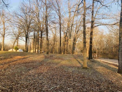 Bull Shoals Lake Lot For Sale in Lakeview Arkansas