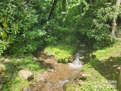 (private lake, pond, creek) Lot For Sale in Sylva North Carolina