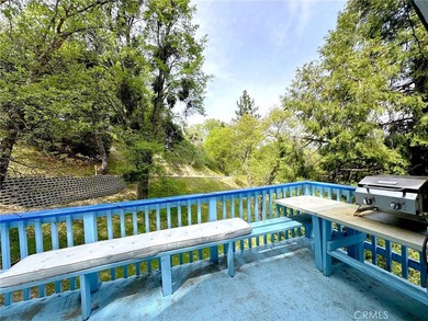 24998 Jewel - photo 13