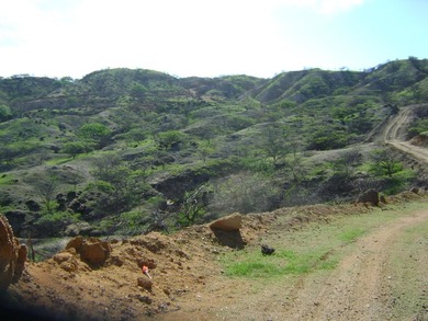 150 acres of hillside property overlooking the Pacific Ocean - photo 3