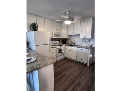 This is the Shore Drive condo that you've been waiting for!! - photo 7
