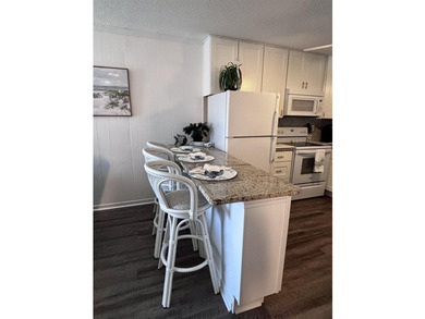This is the Shore Drive condo that you've been waiting for!! - photo 9