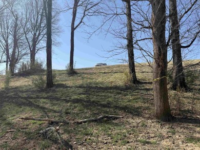 This RV-accessible riverfront lot offers 131 feet of prime - photo 5