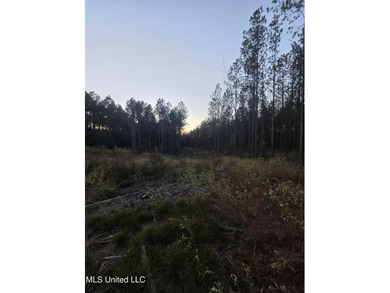 +/-80 Acres - Smith County, MS | Mize School District Located - photo 11