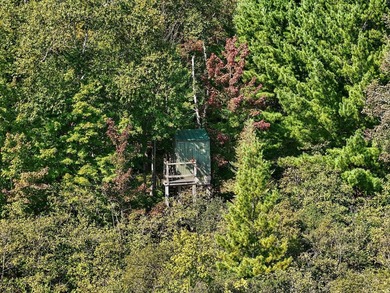 Beautiful 47-acre parcel with over 1,300 feet of lakefront! - photo 11