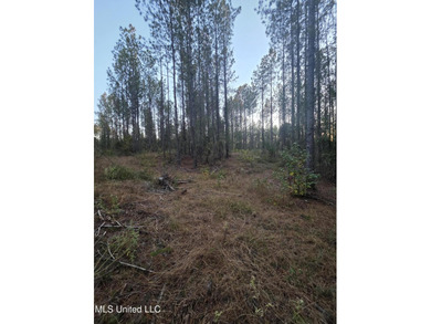+/-80 Acres - Smith County, MS | Mize School District Located - photo 13