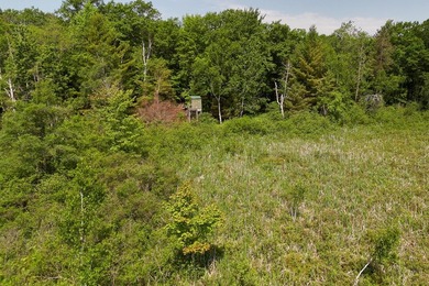Beautiful 47-acre parcel with over 1,300 feet of lakefront! - photo 13