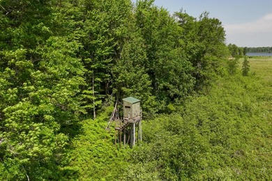 Beautiful 47-acre parcel with over 1,300 feet of lakefront! - photo 14
