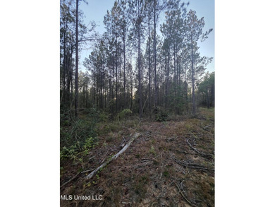+/-80 Acres - Smith County, MS | Mize School District Located - photo 16