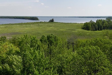 Beautiful 47-acre parcel with over 1,300 feet of lakefront! - photo 16