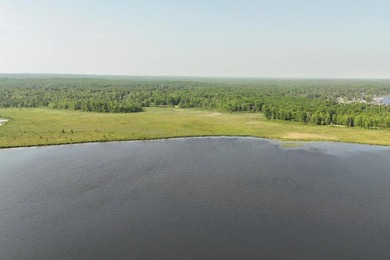 Beautiful 47-acre parcel with over 1,300 feet of lakefront! - photo 17