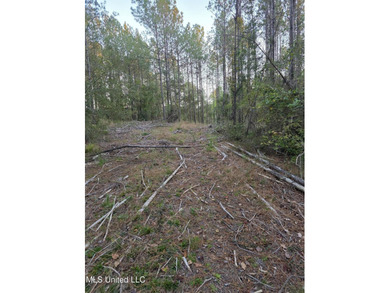 +/-80 Acres - Smith County, MS | Mize School District Located - photo 18