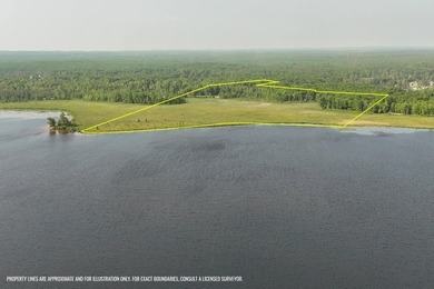 Beautiful 47-acre parcel with over 1,300 feet of lakefront! - photo 18