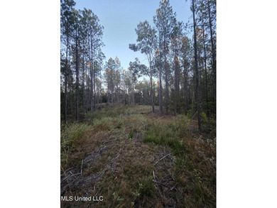 +/-80 Acres - Smith County, MS | Mize School District Located - photo 21