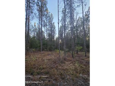+/-80 Acres - Smith County, MS | Mize School District Located - photo 22
