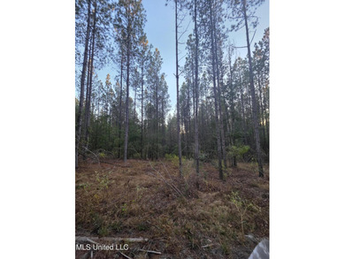 +/-80 Acres - Smith County, MS | Mize School District Located - photo 23