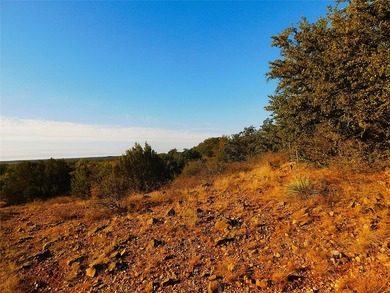 Welcome to this 76 Acres on County Road 131 in Bangs ISD - photo 4