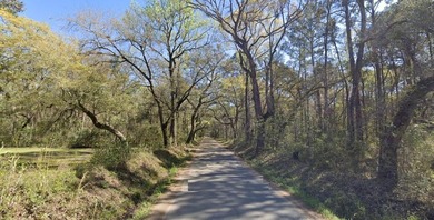 ****EDISTO ISLAND LAND!! **** NO RESTRICTIONS!!! **10 FULL - photo 6