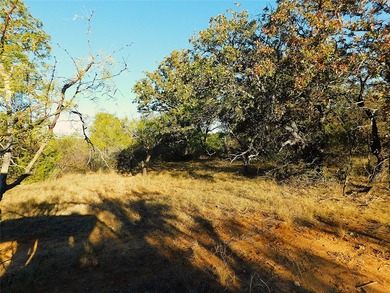 Welcome to this 76 Acres on County Road 131 in Bangs ISD - photo 6