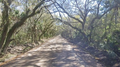 ****EDISTO ISLAND LAND!! **** NO RESTRICTIONS!!! **10 FULL - photo 7