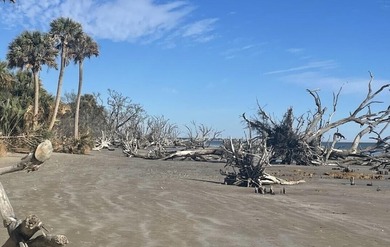 ****EDISTO ISLAND LAND!! **** NO RESTRICTIONS!!! **10 FULL - photo 8