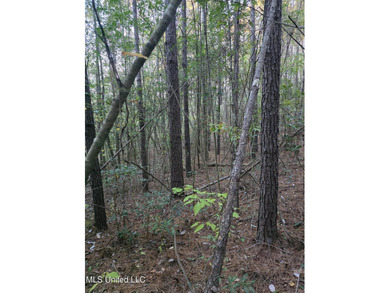 +/-80 Acres - Smith County, MS | Mize School District Located - photo 28