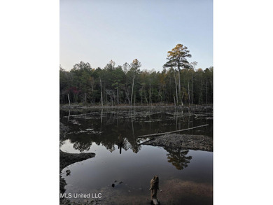 +/-80 Acres - Smith County, MS | Mize School District Located - photo 31